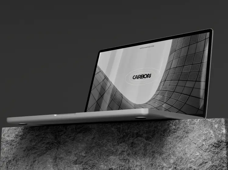 portfolio img 1